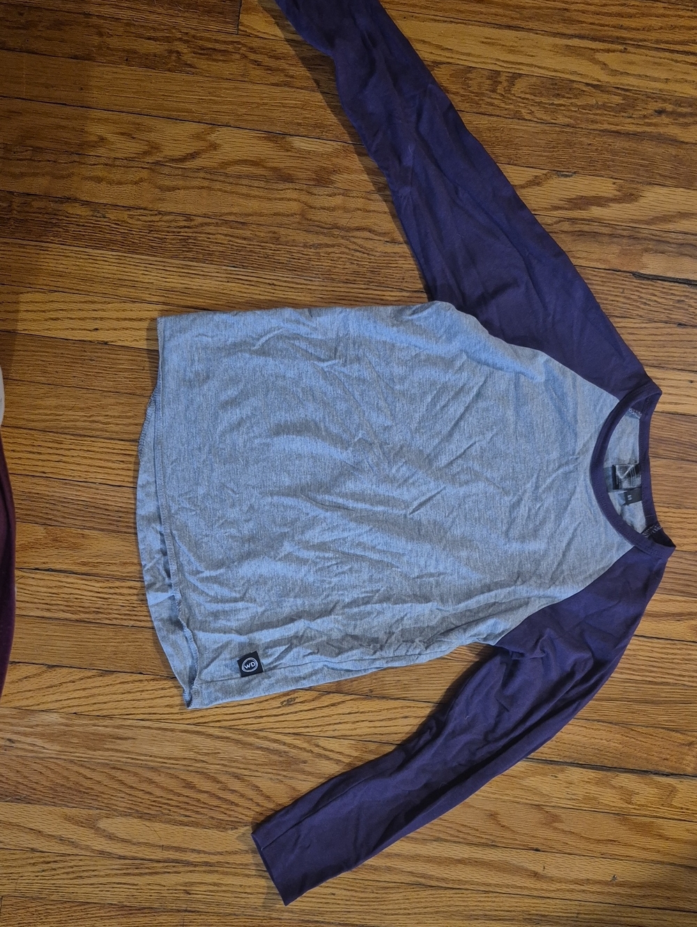 Wooly Doodle Gray Body with Purple Raglan Top